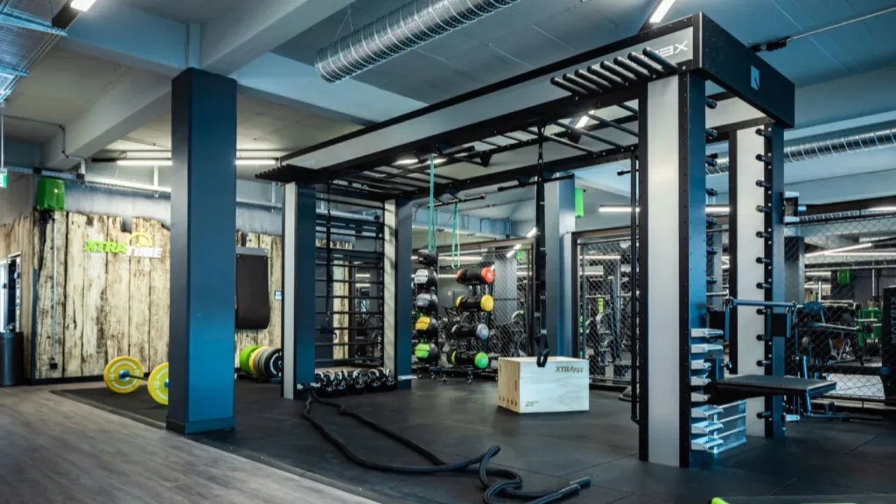 Queenax installation – Köln, Germany